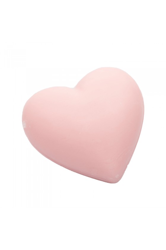 SAVON DETACHANT AU FIEL DE BOEUF SAVONNERIE DE NYONS 100G