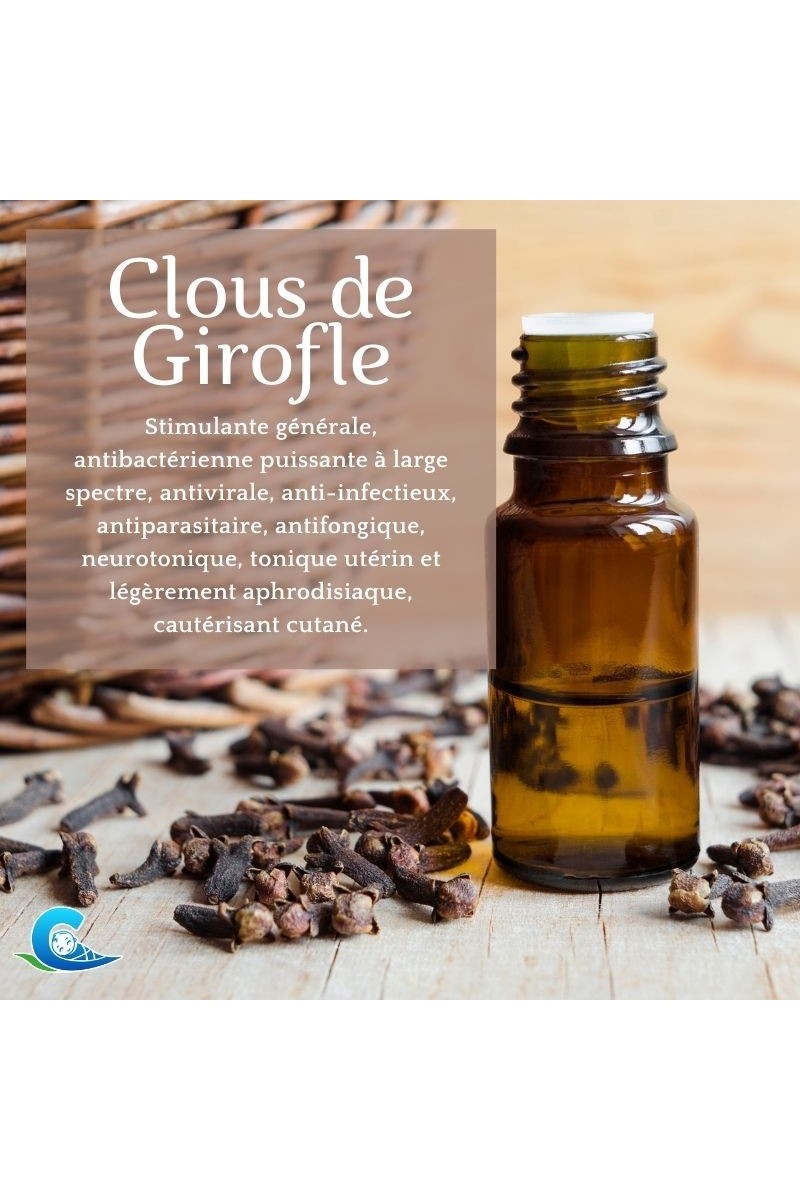 Huile Essentielle de Clou de Girofle (Giroflier) - Bio - Bio et santé