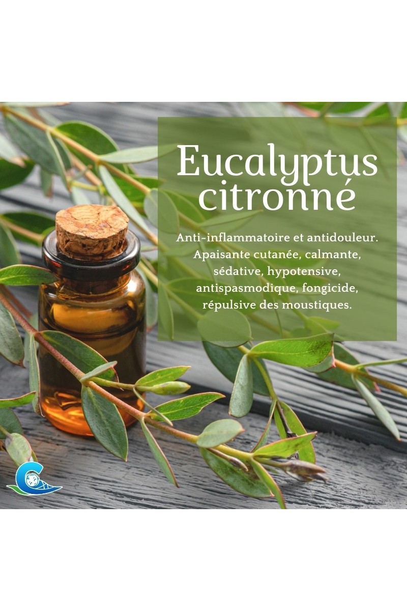 Huile essentielle d Eucalyptus citronné Bio
